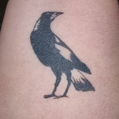 enrasirra23's profile picture. AFL-Collingwood, Sport, Cats, Cars, Books, Musical Theatre & random things.