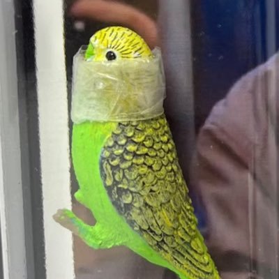 Wichmars's profile picture. 