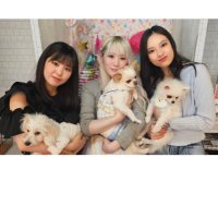 あき_花明かり 坂道のマモリビト (@aki_lightofhope) 's Twitter Profile
