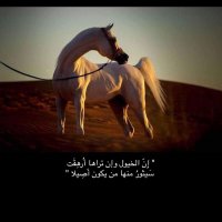 MBZ🇦🇪 (@a_i11_) 's Twitter Profile