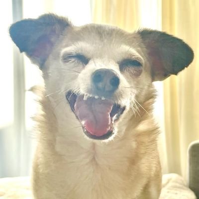 willg32's profile picture. I'm just me..lol