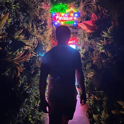 Joe Ranieri Profile