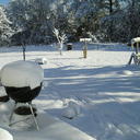 Lala Brown - @traLaLa99 - Twitter