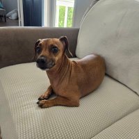 Nan Danehower (@nandanehower) 's Twitter Profile Photo Nan Danehower (@nandanehower) 's Twitter Profile Photo