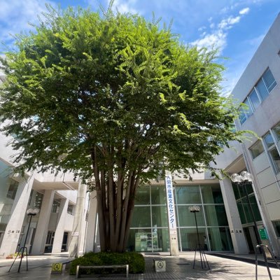 iruma_sanbun's profile picture. 埼玉県入間市にある産業文化センターの公式アカウントです。施設利用や公演に関する情報のほか、当館の日常や周辺の出来事などをつぶやいています。各種お問合せはhttps://t.co/4JKrbjYEV0よりお願いいたします。