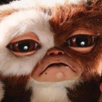 kuriningen's profile picture. 栗です。名前ころころ変わるけど基本栗です。栗からもよろし栗お願いします(。・ω・。)
ハチワレちゃんとピクミンが好きです。
ギズモは神です。

よくそっちの人にフォローされがちですが裏垢ではないです🫠