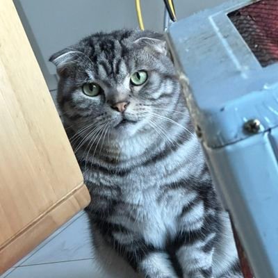 AngelaSmit16300's profile picture. 喜欢推