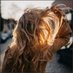 Clurarth (@clurarthyfsipx) Twitter profile photo