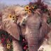 Donna 🐘 (@garrison_d16533) Twitter profile photo Donna 🐘 (@garrison_d16533) Twitter profile photo