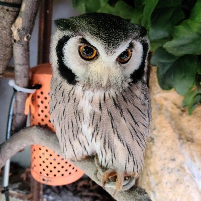 2024.06~謎解き/たまに旅行/土日祝に都内メインで謎解き参加/成功率は低め/大事なことはメモするけどメモをなくす人