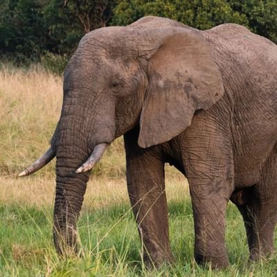 Hard_TyZou's profile picture. 