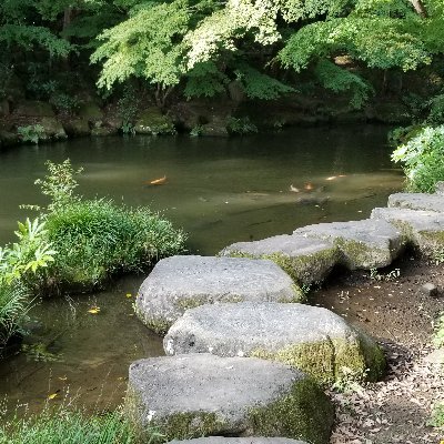 Stonemason2024's profile picture. STONE MASON です　外構、造園、土木の石工事をしています。メルカリ出品中　　https://t.co/0LqVVd0Rz7　https://t.co/4F2SpbEQ4K
