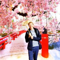Fiona Druitt (@druittfiona) 's Twitter Profile