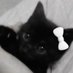 :) (@graybatz_) Twitter profile photo :) (@graybatz_) Twitter profile photo