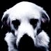AИDЯЕW (@xetaxt) Twitter profile photo AИDЯЕW (@xetaxt) Twitter profile photo