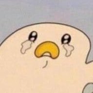 mykikitaro's profile picture. 