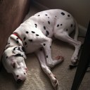 Kyle Martindale - @256Gorilla - Twitter