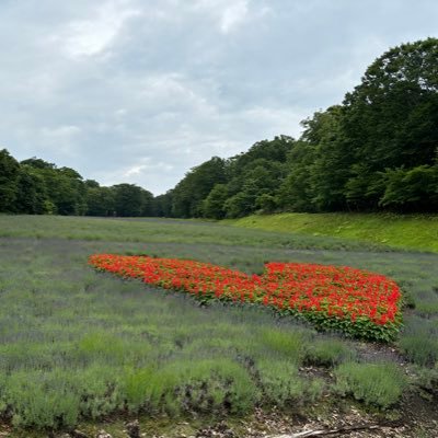 kazenomukusue's profile picture. バイク降りました それでもあちこちには遊びに出かけておりますので日記がわりにつぶやきします