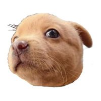 _Pp (@jcb_001) 's Twitter Profile