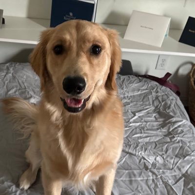 Mepass11's profile picture. 🧼