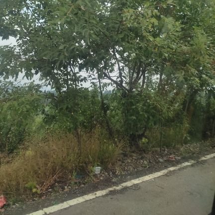 ShahN79065's profile picture. 