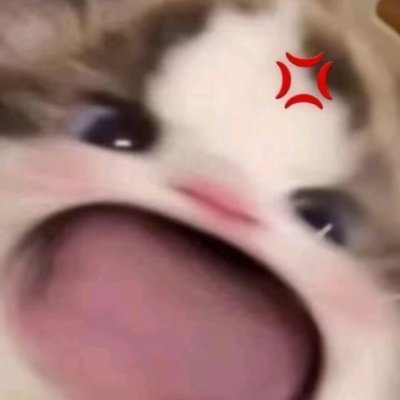 Polygonaresilly's profile picture. 