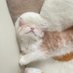 กุ๊กกุ๊ก (@_hopehopes) Twitter profile photo กุ๊กกุ๊ก (@_hopehopes) Twitter profile photo