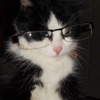 oli (@olivoiloli) 's Twitter Profile Photo oli (@olivoiloli) 's Twitter Profile Photo