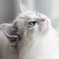 Keep Looking Up (@sandyeverett777) 's Twitter Profile