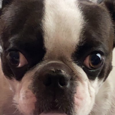 LShizt1moD10525's profile picture. 何でも相談下さい😅