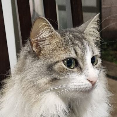 Naymur78's profile picture. It's all right
Take a chance
Cause there is no circumstance
That you can't handle
When you use your mind