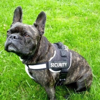 Konrad649402's profile picture. jestem wspaniały