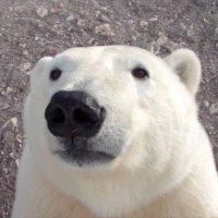 Wasab1 (@wasabi_wasab1) Twitter profile photo