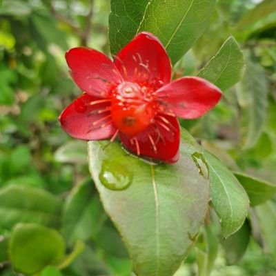 ra_nis42024's profile picture. ชอบความรู้ทุกเรื่อง