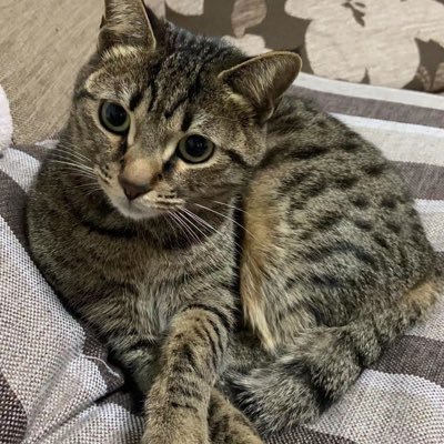 PCwwww's profile picture. 