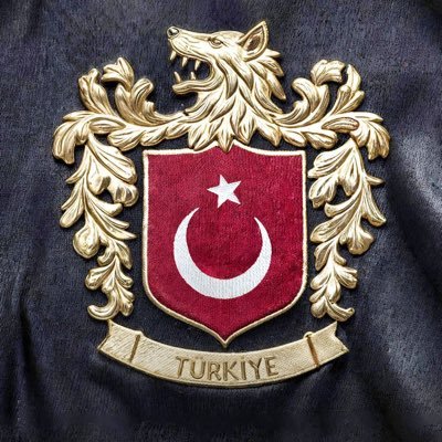 yedinciyeninur's profile picture. 