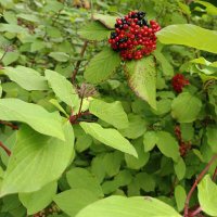 Hatice (@hatice391573) Twitter profile photo