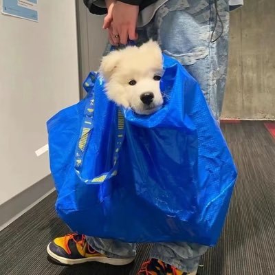 picril2013239's profile picture. 