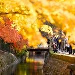 Sumire🇦🇼＠東南アジアに移住したい(´ฅω•ฅ｀)ﾁﾗｯ (@campbellpr31670) Twitter profile photo