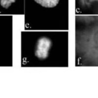 豊中の大学生 (@nickinging) Twitter profile photo