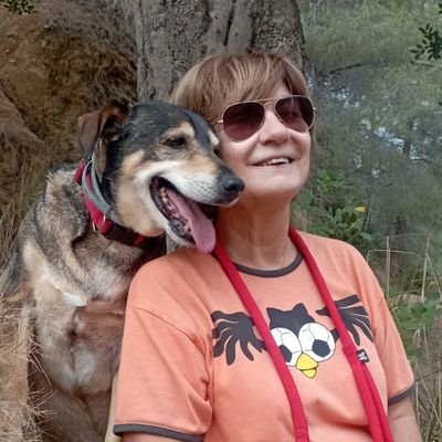 bitajr's profile picture. El primer a demanar disculpes és el més valent. El primer a perdonar és el més fort. El primer a oblidar és el més feliç