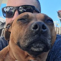 Francky 🇨🇵👀 (@blfranck) 's Twitter Profile