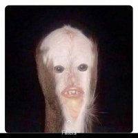 omosh, O.G.Wππ (@omosh1878) 's Twitter Profile