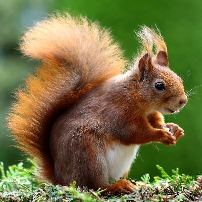 Build564424's profile picture. 🖥️📱 Hobby Web & App Developer
Exploring the world of code in my free time
#JavaScript #React #NodeJS #iOS #Android
Learning, building, and having fun with tec