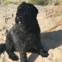 Willem (@willemverw29063) 's Twitter Profile Photo Willem (@willemverw29063) 's Twitter Profile Photo