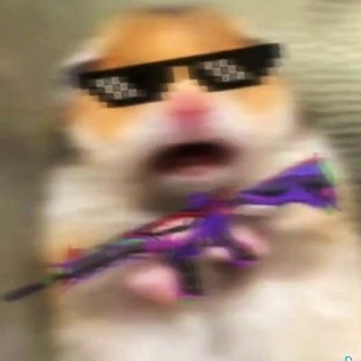 Yashnaiduu's profile picture. he/him