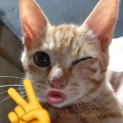 beplain1234's profile picture. 