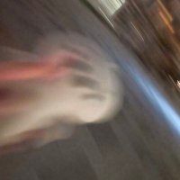 ぴぴ (@tapi_pita0324) 's Twitter Profile