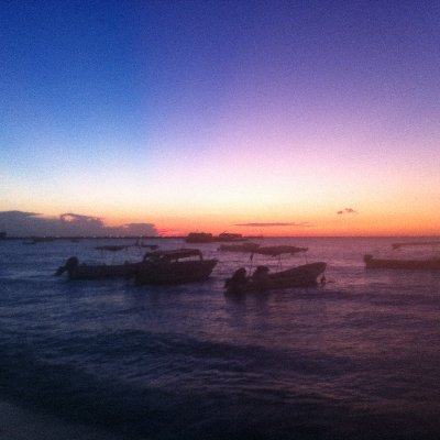 YYYYY0011223344's profile picture. 