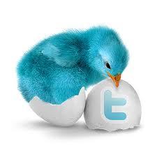 Here's to the people. I actually follow back. Wanting to make little changes in a big world. Love my followers.